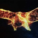 fénix-grande-bcnproglab-580×290